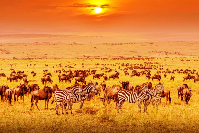 Serengeti – 3 Days Serengeti & Ngorongoro Crater Group Joining Safari